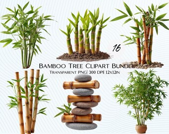 16 Bamboo Tree Clipart Bundle | Zen Botanical PNG Transparent Background