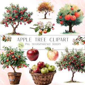 May include: Watercolor illustrations of apple trees with red apples, blossoms, and a basket of apples. The text "APPLE TREE CLIPART" is displayed with the number "26" and the words "PNG TRANSPARENTI 300DPI".