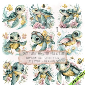 11 Turtle and Little Fish Clipart, Ocean Friends JPG and PNG Transparent (Digital Download)