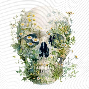 May include: Watercolor illustration of a human skull adorned with daisies and other wildflowers. The skull is off-white, with the flowers in shades of white, yellow, and green. The artwork has a delicate, ethereal quality, with fine lines in the background.