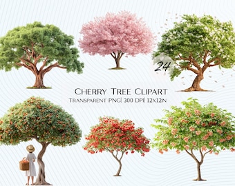 24 Cherry Tree Clipart Bundle | Branch, Leaves & Fruits PNG Transparent Background