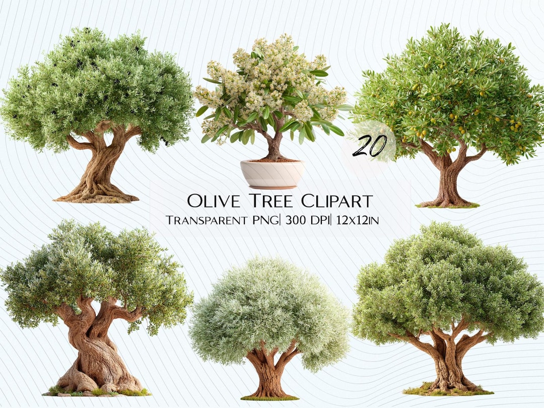 20 Olive Tree Clipart Bundle | Botanical Olive Branch, Leaves & Fruits ...