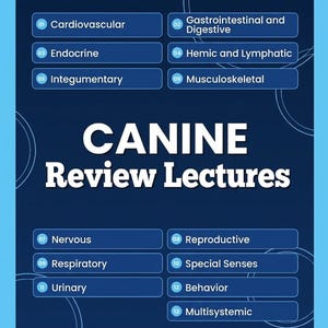 以下が含まれることがあります： NAVLE獣医免許試験のための「CANINE Review Lectures」と題された濃紺の教育用ポスター。心臓血管系、消化器系、内分泌系、血液系、リンパ系、外皮系、筋骨格系など、13の身体システムがリストアップされています。