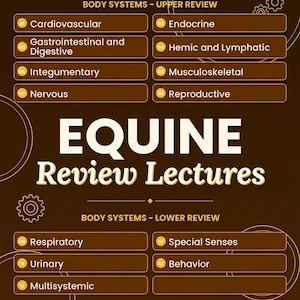 May include: A brown educational poster titled NAVLE Veterinary Licensing Examination North America Equine Review Lectures. It lists body systems in two sections, Upper Review and Lower Review, with numbered categories from 01 to 13 in white text.