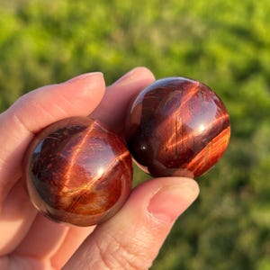 May include: Two polished red tiger eye spheres. The spheres have a chatoyant effect, displaying bands of colour and light. The stones are held in a hand against a blurred green background. These decorative spheres are a unique addition to any collection.