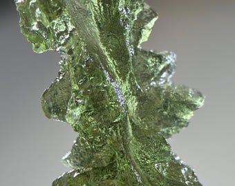 moldavite 1.76 g besednice jezkovna drop shape tektite hedgehog Czech Republic collectible