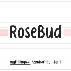 Neat handwriting font goodnotes, cozy cute handwritten font for planner, commercial use, multilingual font, Rosebud font