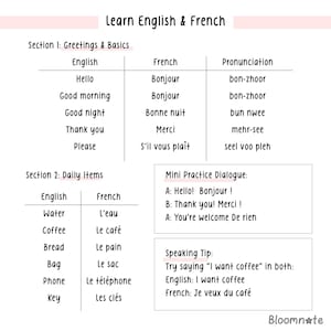 May include: A pink and white illustrated chart with the title "Learn English & French". The chart is divided into two sections: "Greetings & Basics" and "Daily Items". Each section lists English and French words and phrases with their pronunciations.