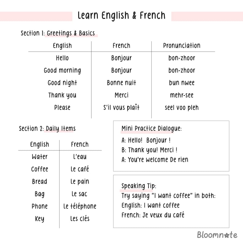 May include: A pink and white illustrated chart with the title "Learn English & French". The chart is divided into two sections: "Greetings & Basics" and "Daily Items". Each section lists English and French words and phrases with their pronunciations.