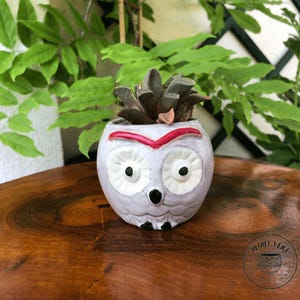 Peut inclure: Un petit pot de fleurs en céramique en forme de hibou, dans les tons de gris, blanc, rouge et noir, contenant une plante succulente. Le pot présente de grands yeux ronds et un bec, avec un accent rouge au-dessus des yeux. Le pot est posé sur une surface en bois.