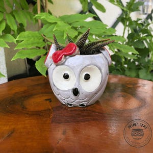Peut inclure: Un petit pot de fleurs en céramique en forme de hibou gris, avec de grands yeux blancs et un nœud rouge. Le pot contient une petite plante succulente avec des feuilles vertes foncées et tachetées de blanc. Le pot est sur une surface en bois.