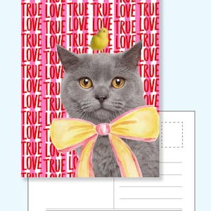 Rode Liefdeskaart met kat om je hart mee te laten spreken – Originele kaart vol liefde voor je partner, crush of geheime liefde