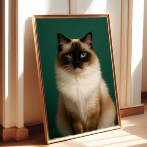 Retrato de gato Ragdoll real, arte de pared imprimible: fotografía de mascota de ojos azules, fondo verde, imagen de gato, decoración de casa, arte de pared de gato, imagen de gato