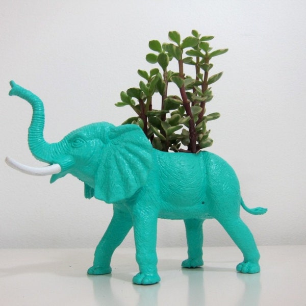 Elmer the Elephant Planter & Succulent