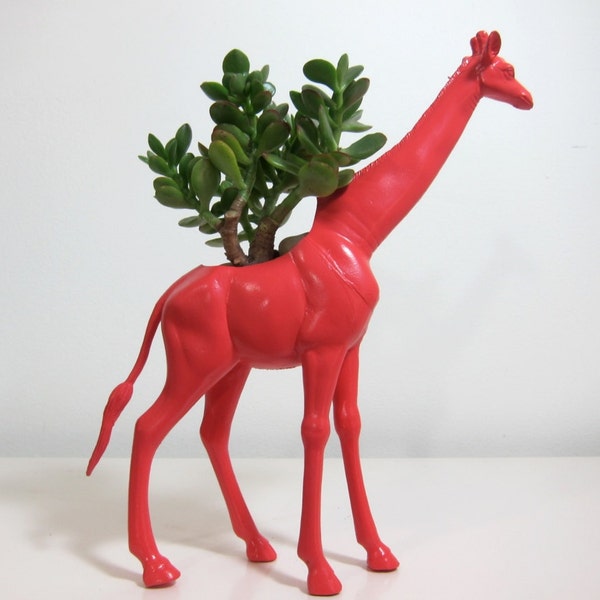 Tory the Giraffe Planter & Succulent