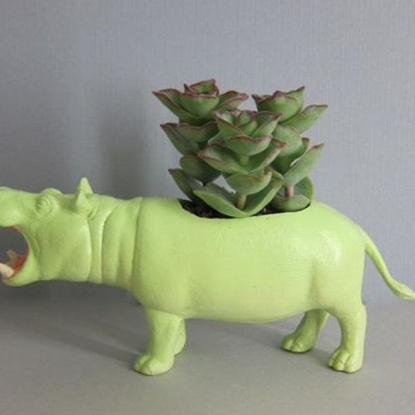 Henry the Hippopotamus Planter & Succulent