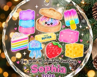 Personalized Year of Squishy Hunting Glass Ornament, Galaxy Dumpling & Rainbow Dessert Bauble, Kawaii Food Fidget Gift for Girls 2026
