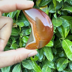 Carnelian Puffy Crescent Moon Crystal Carving