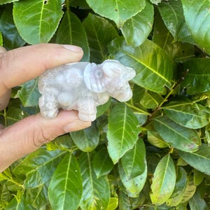 Flower Agate Bull Crystal Carving