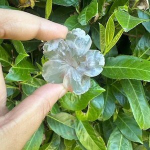 Blume Achat Sakura Blume Kristall schnitzen