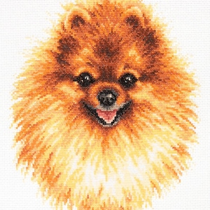 Può includere: Ritratto a punto croce di un cane di Pomerania. Il cane ha pelo arancione-marrone, occhi neri e una lingua rosa. Lo sfondo è bianco.