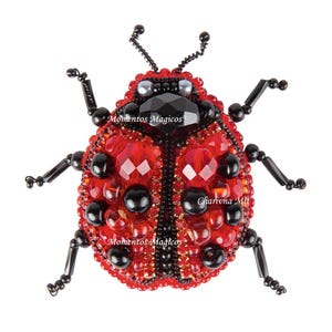 Può includere: Spilla a forma di coccinella fatta a mano, con corpo rosso e dettagli neri. La spilla è impreziosita da perline e cristalli rossi e neri, e ha antenne e zampe nere. I testi "Momentos Magicos" e "Charivna Mit" sono visibili.