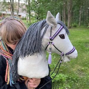 May include: A plush, light gray hobby horse head with a gray mane and purple bridle. The bridle has a purple tassel and beaded accents. The toy is held by a person in front of a green background.