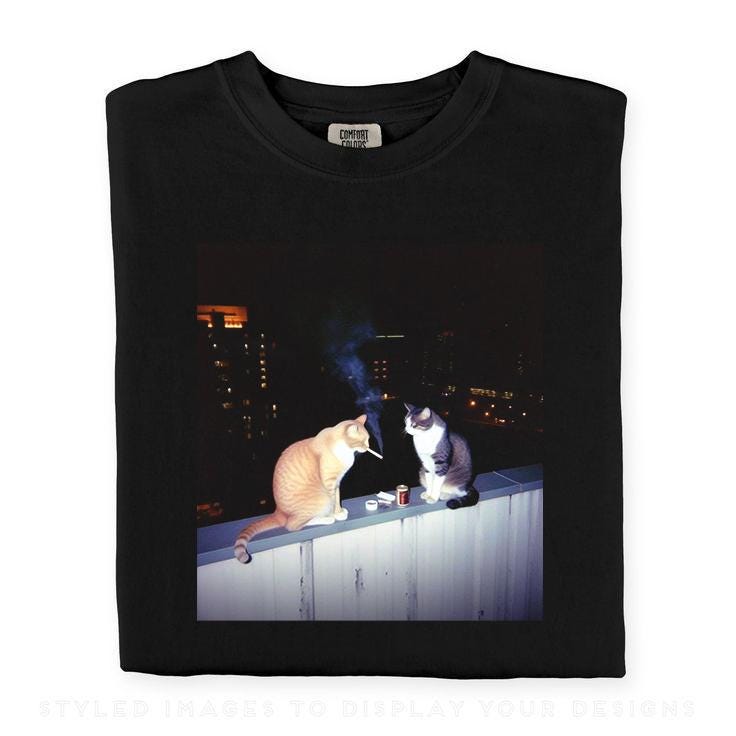 【AMBLER】I'm a cool cat RaglanGraphic Short-sleeved T-shirt Cool Cat Shirt - Etsy