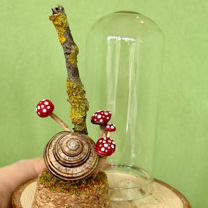 Snail Shell Grove: Miniature mushroom glass cloche toadstool terrarium snail shells magical woodland handmade gift bookshelf ornament