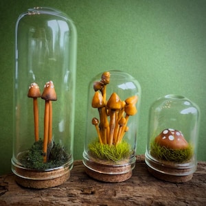 Miniature mushroom glass cloche toadstool terrarium skull magical woodland handmade gift bookshelf ornament Cottagecore