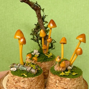 Miniature Glass Cloche Bundles Diorama Mini mushrooms Cottagecore whimsical forestcore fairy garden books gift terrarium woodland bookshelf