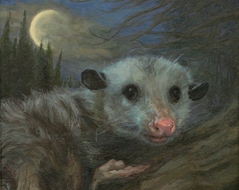 American Opossum, Print from original oil painting by LVP, XL - 13 x 16.4 in / L - 11 x 14 in / M - 8.5 x 10.7 in / S - 5 x 6.3 in