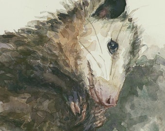 Opossum watercolor, 12x9in