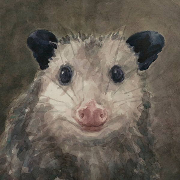 Opossum with cherry, Print from watercolor painting by LVP, XL - 13 x 17.5 in / L - 11 x 14.8 in / M - 8.1 x 11 in / S - 5 x 6.8 in