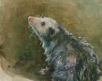 Opossum, impression d'après une aquarelle de LVP, XL - 13 x 17,5 pouces / L - 11 x 14,8 pouces / M - 8,1 x 11 pouces / S - 5 x 6,8 pouces