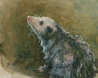 Opossum, Print from watercolor painting by LVP, XL - 13 x 17.5 in / L - 11 x 14.8 in / M - 8.1 x 11 in / S - 5 x 6.8 in