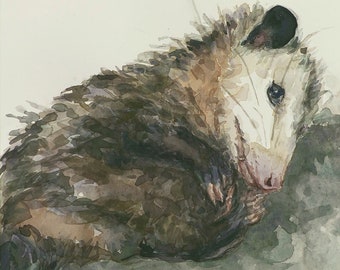 Opossum, Print from watercolor painting by LVP