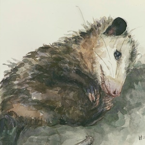 Opossum, Print from watercolor painting by LVP