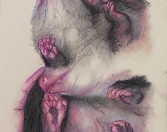 May include: A detailed pencil drawing of a small animal, possibly a rodent, with its head tilted back and its paws outstretched. The drawing is done in shades of pink, purple, and gray.
