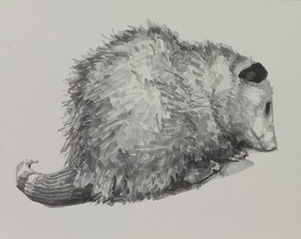 Opossum, 9x12in copic makers on paper