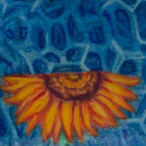 Tournesol / Polyuréthane 2,5x3,5 po.