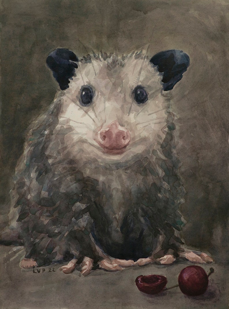 Opossum with cherry, Print from watercolor painting by LVP, XL 13 x 17.5 in / L 11 x 14.8 in / M 8.1 x 11 in / S 5 x 6.8 in image 1