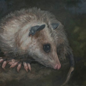 Opossum, Print from original oil painting by LVP, XL - 13 x 16.3 in / L - 11 x 13.8 in / M - 8.5 x 10.5 in / S - 5 x 6.2 in