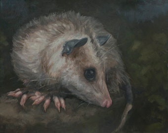 Opossum, Print from original oil painting by LVP, XL - 13 x 16.3 in / L - 11 x 13.8 in / M - 8.5 x 10.5 in / S - 5 x 6.2 in
