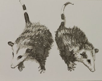 Opossum, 9x12in copic makers on paper