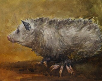 Opossum watercolor, 12x9in, original painting