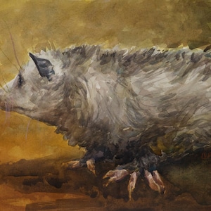 Opossum, Print from watercolor painting by LVP, XL - 13 x 17.5 in / L - 11 x 14.8 in / M - 8.1 x 11 in / S - 5 x 6.8 in