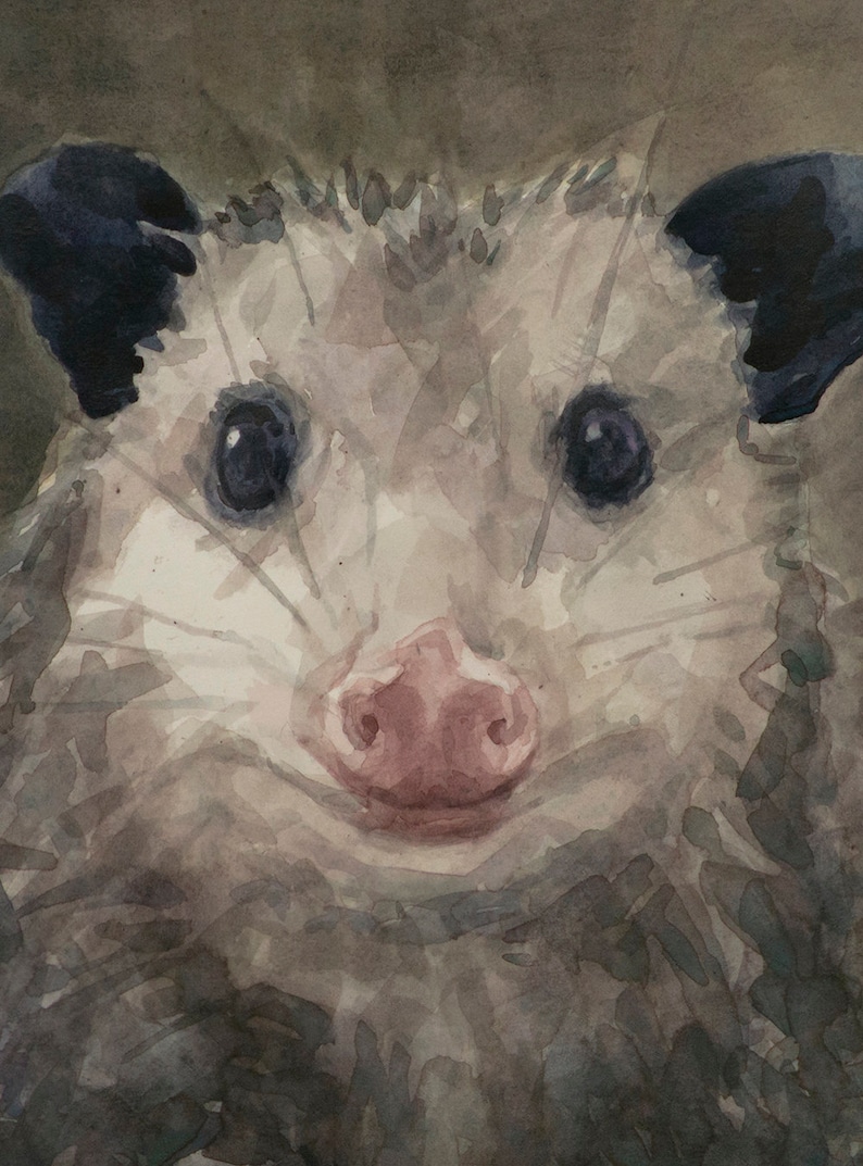 Opossum with cherry, Print from watercolor painting by LVP, XL 13 x 17.5 in / L 11 x 14.8 in / M 8.1 x 11 in / S 5 x 6.8 in image 2