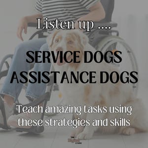 Puede incluir: Un perro de color claro con marcas marrones está sentado frente a una persona en silla de ruedas. La imagen tiene texto que dice: "Escucha... PERROS DE SERVICIO PERROS DE ASISTENCIA Enseña tareas increíbles usando estas estrategias y habilidades."