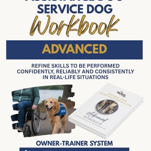 Peut inclure: Un manuel avancé pour chien d'assistance et chien de service par The Digital Canine. La couverture présente du texte bleu foncé et doré, une photo d'une personne en fauteuil roulant avec un chien de service et un livre blanc intitulé Training Your Assistance/Service Dog.